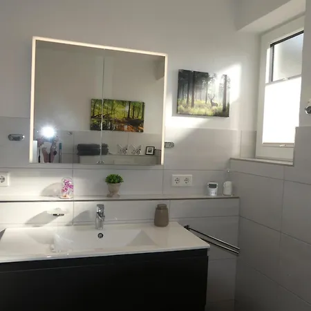 Schmidt 奥伯岑特