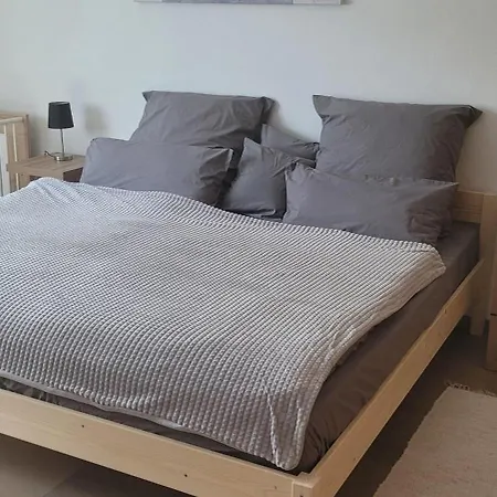 Schmidt 奥伯岑特